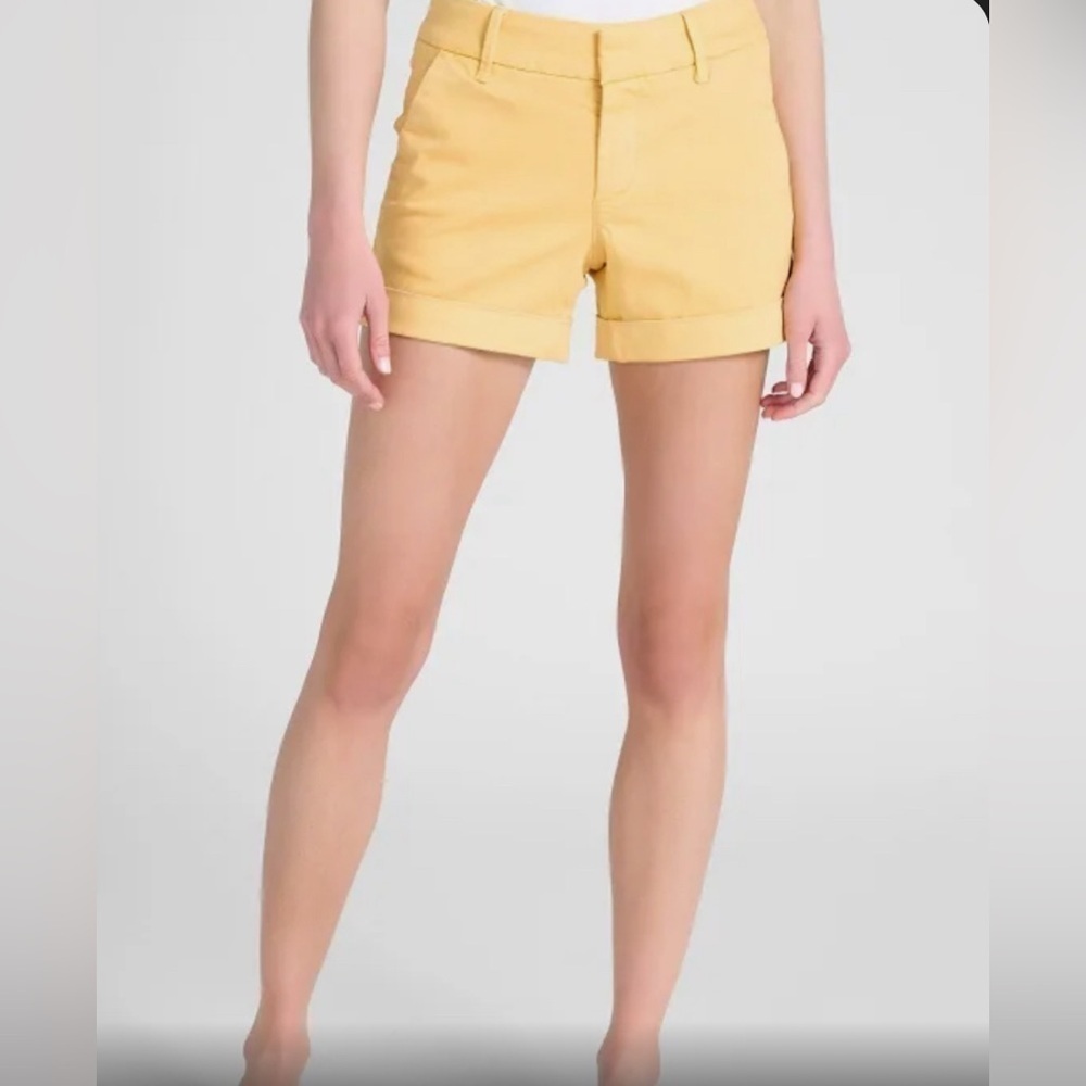 Dear John Denim Hampton Shorts Size 33